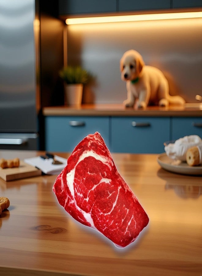GOUDOGEDC Realistic Food Steak Plush Dog Squeaky Toy, Soft Food Shape Pet Chew Toy for Small Medium Dogs and Non-Aggressive Chewers, Puppy Teeth Clean Chew Toys - Image 3